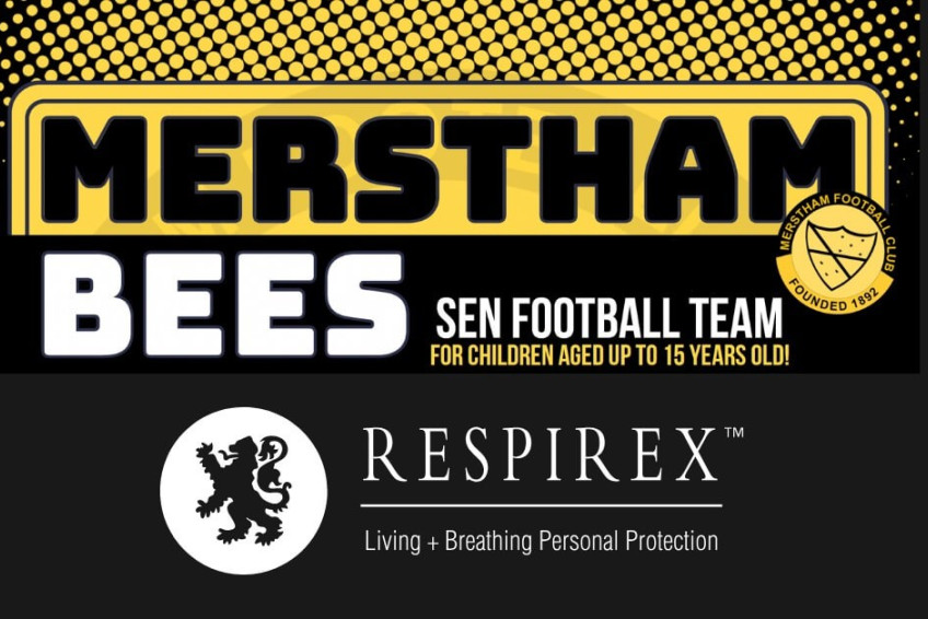 Respirex & Merstham Bees SEN Team.jpg